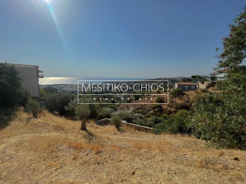 Οικόπεδο 1.128 τ.μ. προς πώληση, Ομηρούπολη