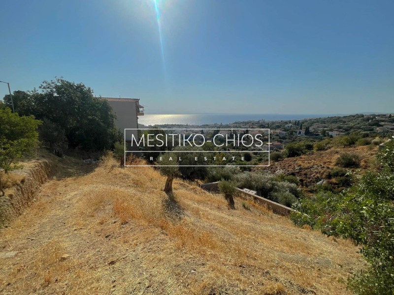 Οικόπεδο 1.128 τ.μ. προς πώληση, Ομηρούπολη
