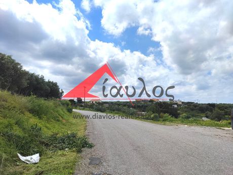 Οικόπεδο 1.427τ.μ. για πώληση-Γεροπόταμος » Αχλαδές