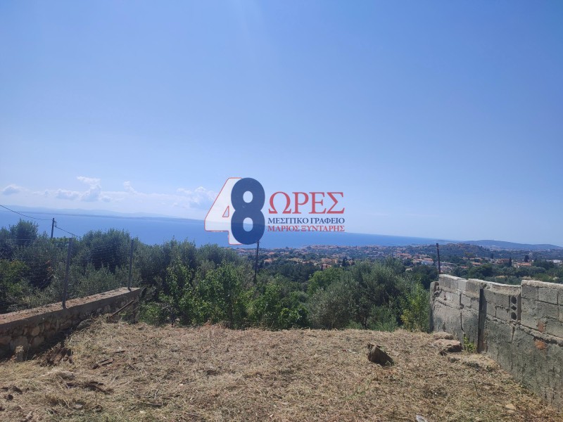 Οικόπεδο 197 τ.μ. προς πώληση, Ομηρούπολη
