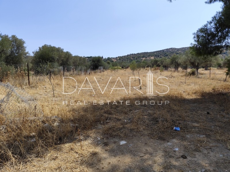 Οικόπεδο 6.000 τ.μ. πρός πώληση, Αθήνα - Ανατολικά Προάστια, Σπάτα