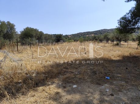 Οικόπεδο 6.000 τ.μ. για πώληση