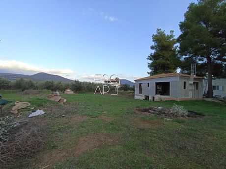 Μονοκατοικία 130 τ.μ. για πώληση
