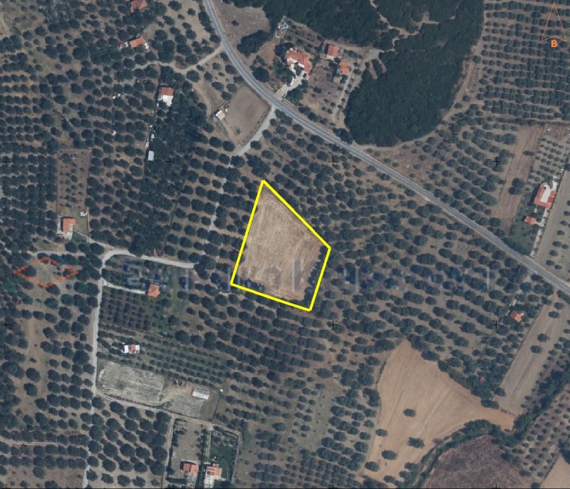 Αγροτεμάχια 4.288 τ.μ. προς πώληση, Δίκελλα