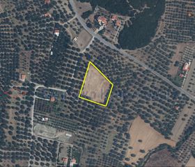 Αγροτεμάχια 4.288 τ.μ. για πώληση