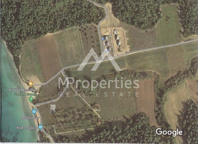 Αγροτεμάχια 4.066 τ.μ. προς πώληση, Πύργος Σανή