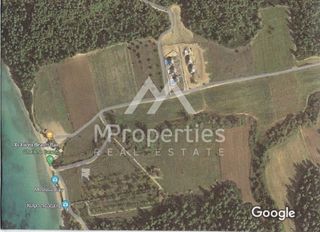 Αγροτεμάχια 4.066 τ.μ. για πώληση