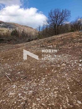 Land plot 1.249sqm for sale-Pieria » Elatochori