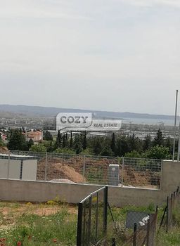 Αγροτεμάχια 5.100 τ.μ. για πώληση