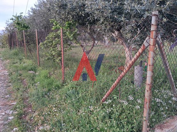 Αγροτεμάχια 4.100 τ.μ. για πώληση, Αθήνα - Βόρεια Προάστια, Ροδόπολη