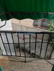 Studio / γκαρσονιέρα 25 τ.μ. προς πώληση, Καλλιθέα-thumb-7
