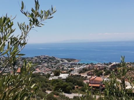 Οικόπεδο 800τ.μ. για πώληση-Σαρωνίδα