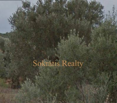 Οικόπεδο 8.000τ.μ. για πώληση-Ανάβυσσος » Μαύρο λιθάρι