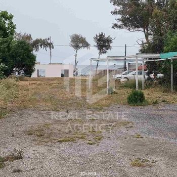 Οικόπεδο 987τ.μ. για πώληση-Αρτέμιδα (λούτσα) » Μεσοβάρδα