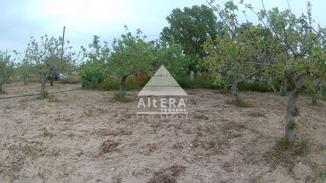 Land plot 1.600sqm for sale-Aegina » Livadi