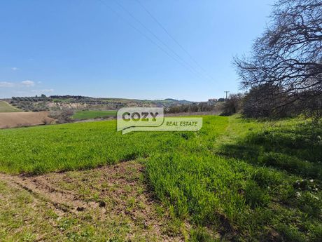 Parcel 6.500sqm for sale-Thermaikos » Neoi Epivates