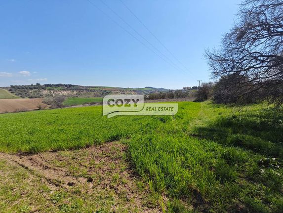 Αγροτεμάχια 6.500 τ.μ. για πώληση, Θεσσαλονίκη - Περιφ/Κοί Δήμοι, Θερμαϊκός