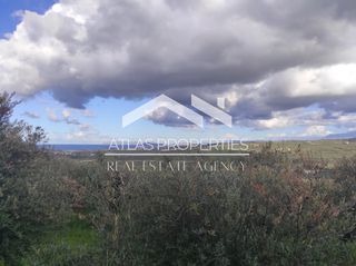Οικόπεδο 2.964 τ.μ. για πώληση, Ν. Χανίων, Κολυμβάρι-thumb-4
