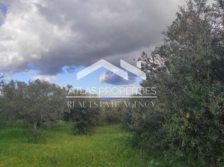 Οικόπεδο 2.964 τ.μ. για πώληση, Ν. Χανίων, Κολυμβάρι-thumb-8