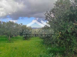 Οικόπεδο 2.964 τ.μ. για πώληση, Ν. Χανίων, Κολυμβάρι-thumb-7