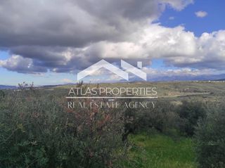 Οικόπεδο 2.964 τ.μ. για πώληση, Ν. Χανίων, Κολυμβάρι-thumb-2