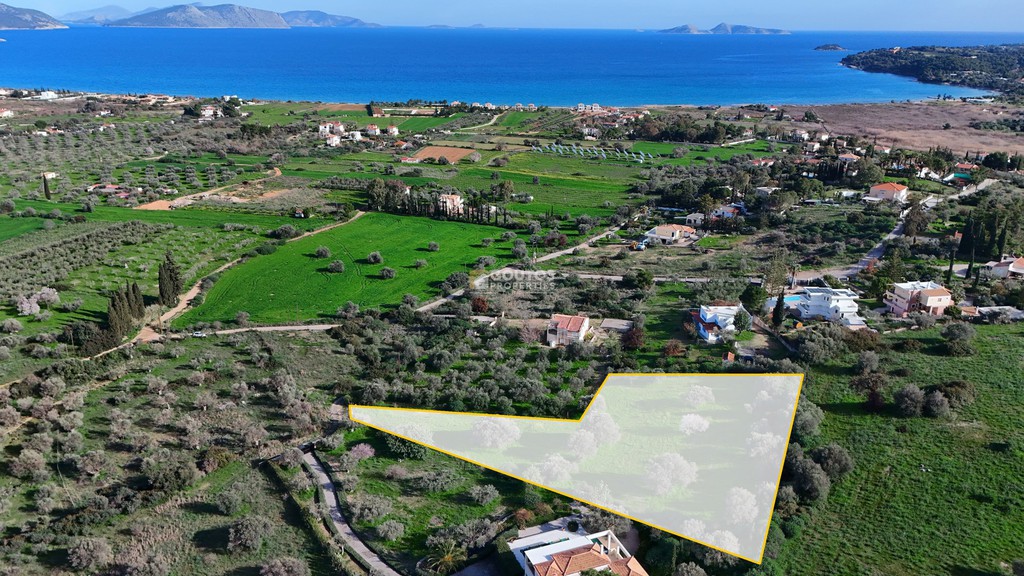 Αγροτεμάχια 4.345 τ.μ. πρός πώληση, Αργολίδα, Κρανίδι