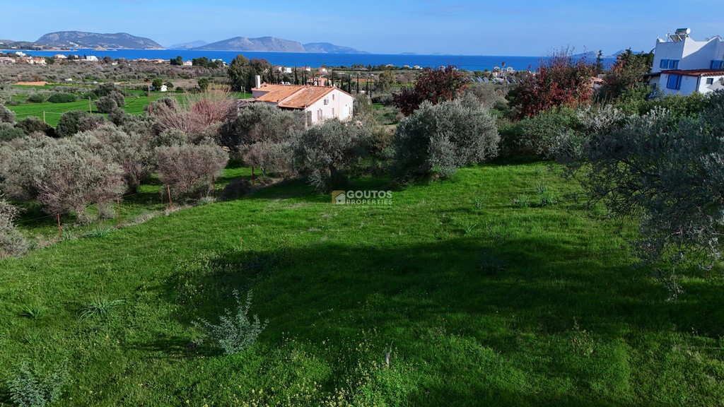 Αγροτεμάχια 4.345 τ.μ. πρός πώληση, Αργολίδα, Κρανίδι