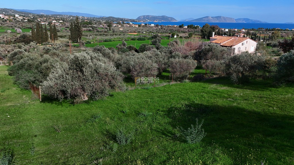 Αγροτεμάχια 4.345 τ.μ. πρός πώληση, Αργολίδα, Κρανίδι