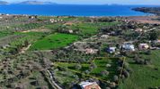 Αγροτεμάχια 4.345τ.μ. για πώληση-Κρανίδι