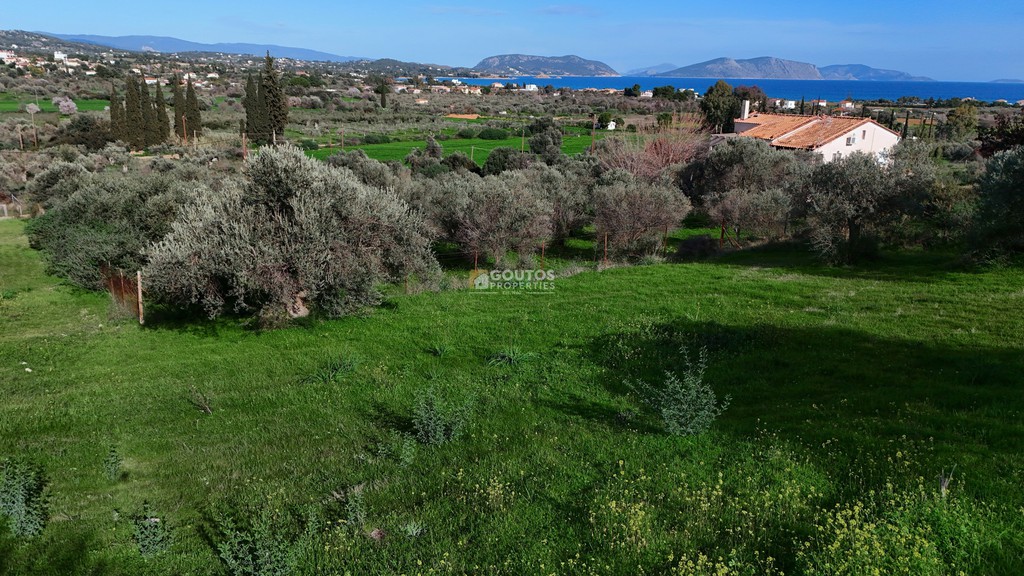 Αγροτεμάχια 4.345 τ.μ. πρός πώληση, Αργολίδα, Κρανίδι