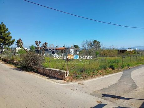 Οικόπεδο 1.630τ.μ. για πώληση-Νέα μάκρη