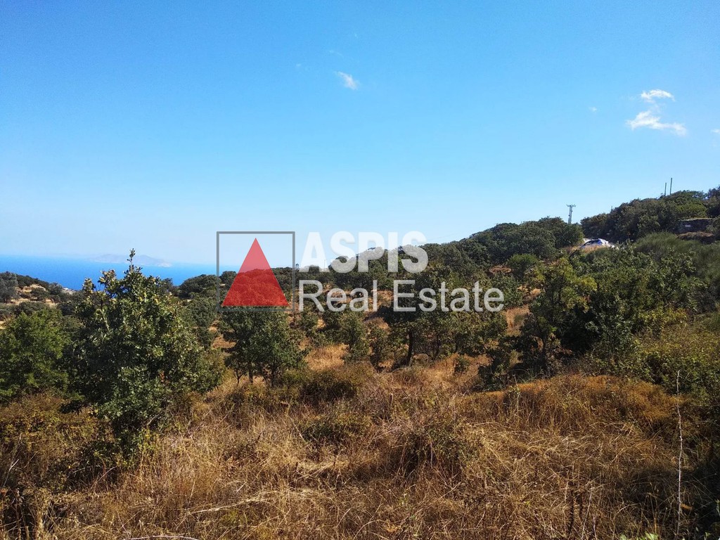 Αγροτεμάχια 3.200 τ.μ. προς πώληση, Καστανιές Κέας