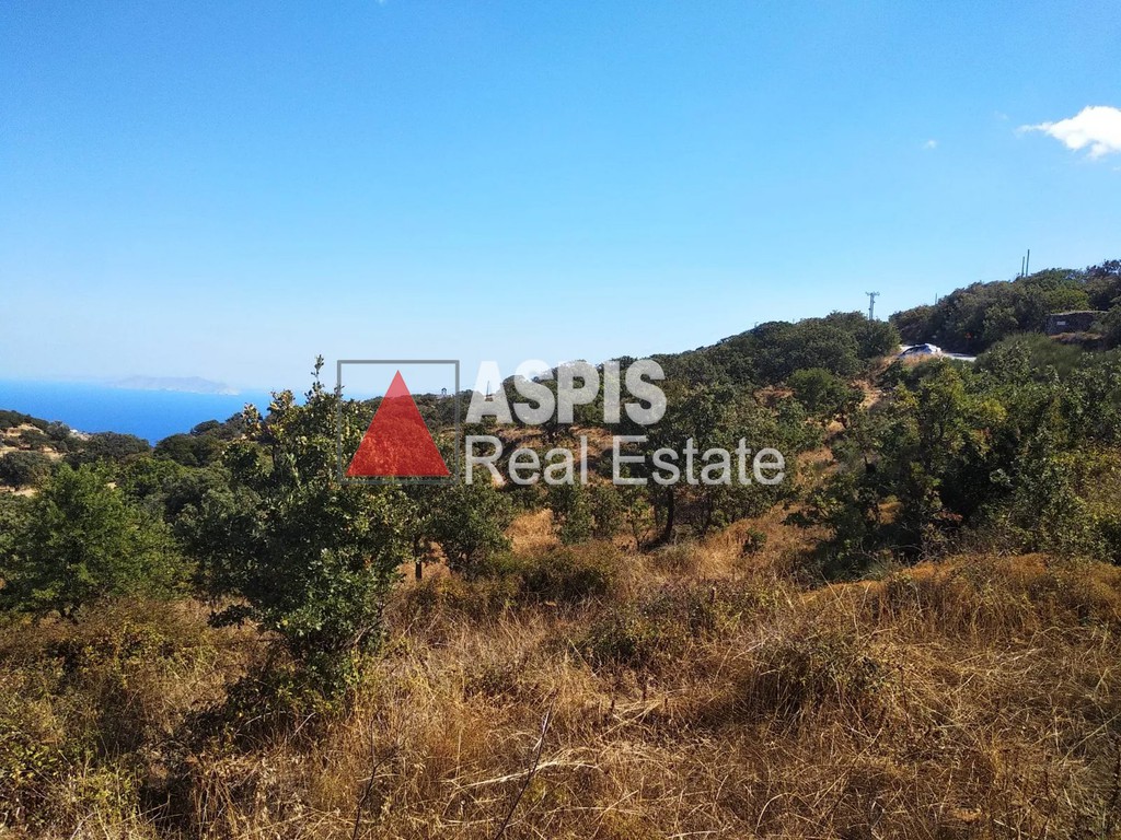 Αγροτεμάχια 3.200 τ.μ. προς πώληση, Καστανιές Κέας