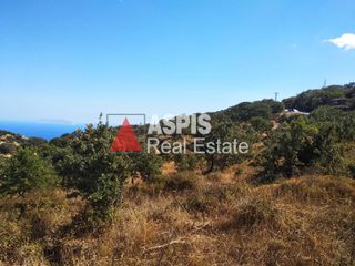 Αγροτεμάχια 3.200 τ.μ. για πώληση