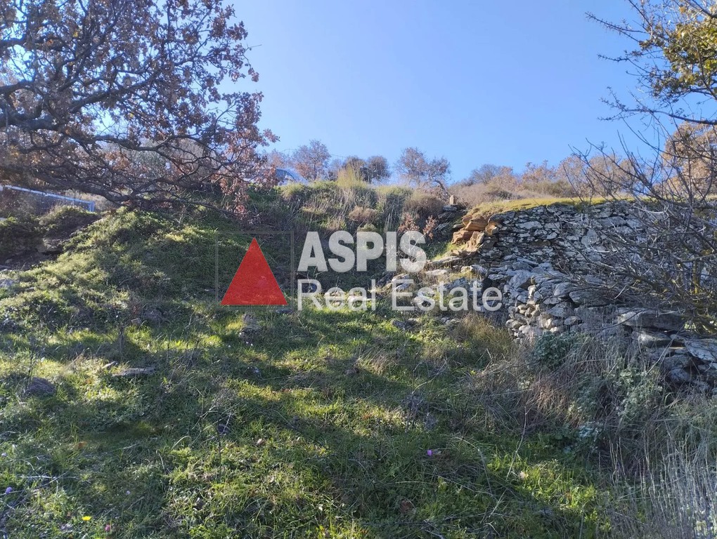 Αγροτεμάχια 3.200 τ.μ. προς πώληση, Καστανιές Κέας