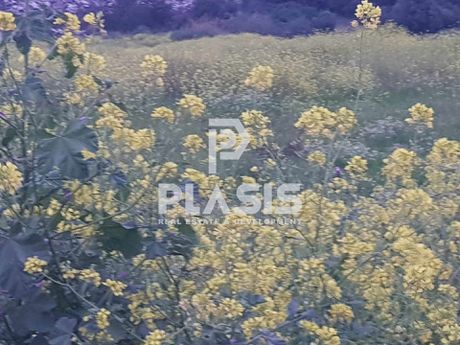 Land plot 850sqm for sale-Molos