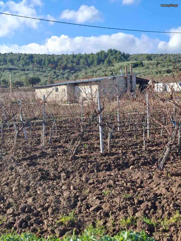 Βιοτεχνικός χώρος 22.000 τ.μ. πρός πώληση, Φθιώτιδας, Αταλάντη
