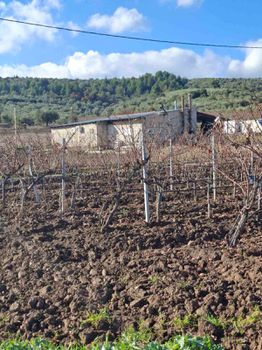 Βιοτεχνικός χώρος 22.000τ.μ. για πώληση-Αταλάντη » Καλαπόδι
