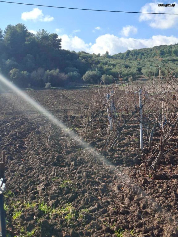 Βιοτεχνικός χώρος 22.000 τ.μ. πρός πώληση, Φθιώτιδας, Αταλάντη