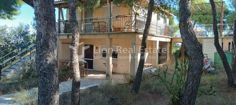 Μονοκατοικία 150τ.μ. για πώληση-Σαλαμίνα » Κακή βίγλα