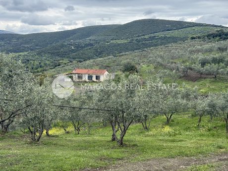 Αγροτεμάχια 58.000τ.μ. για πώληση-Άργος » Ελληνικό