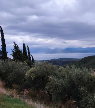 Οικόπεδο 1.600τ.μ. για πώληση-Κέρκυρα » Θινάλιο