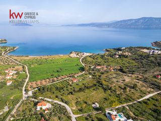 Αγροτεμάχια 6.250 τ.μ. για πώληση