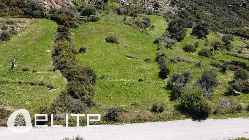 Οικόπεδο 4.785 τ.μ. προς πώληση, Ελειός - Πρόννοι