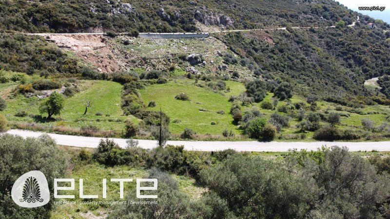 Οικόπεδο 4.785 τ.μ. προς πώληση, Ελειός - Πρόννοι