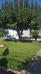 Studio / γκαρσονιέρα 33 τ.μ. για πώληση, Αχαΐα, Πάτρα-thumb-12