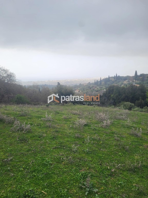 Οικόπεδο 5.600 τ.μ. προς πώληση, Κρήνη Μεσσάτιδας