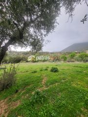 Οικόπεδο 5.600 τ.μ. για πώληση, Αχαΐα, Μεσσατίδα-thumb-7