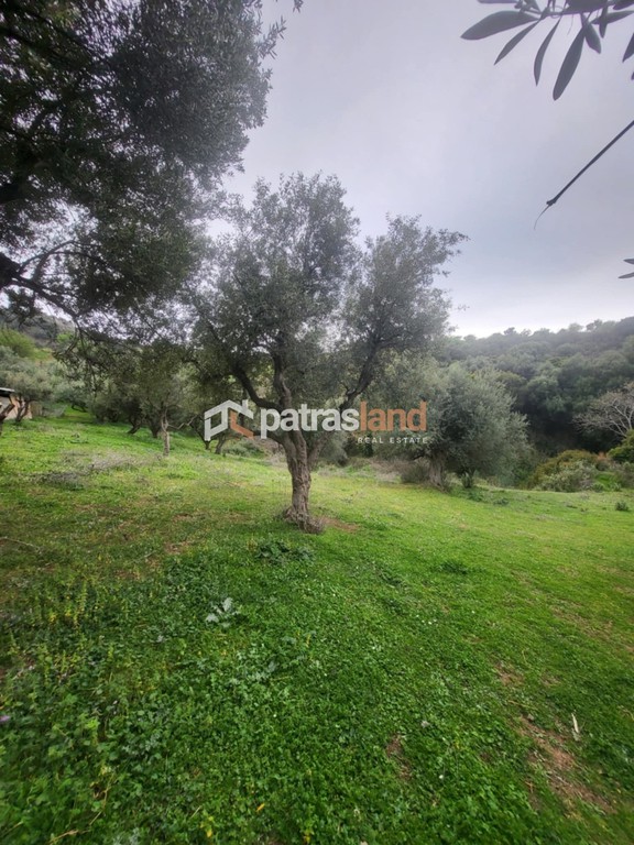 Οικόπεδο 5.600 τ.μ. προς πώληση, Κρήνη Μεσσάτιδας