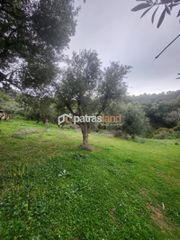 Οικόπεδο 5.600 τ.μ. για πώληση, Αχαΐα, Μεσσατίδα-thumb-3